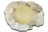 Botryoidal Yellow Fluorite on Quartz - India #342390-1